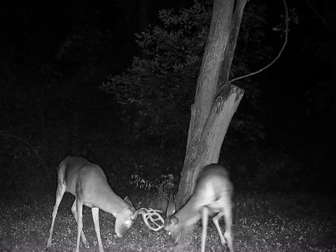 Tiny photo for 5180 W Cantrell Street, Decatur, IL 62522 (MLS # 12497624)