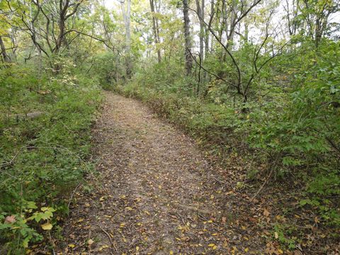 Tiny photo for 5180 W Cantrell Street, Decatur, IL 62522 (MLS # 12497624)