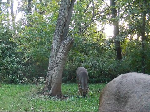 Tiny photo for 5180 W Cantrell Street, Decatur, IL 62522 (MLS # 12497624)