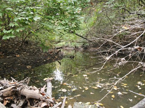 Tiny photo for 5180 W Cantrell Street, Decatur, IL 62522 (MLS # 12497624)