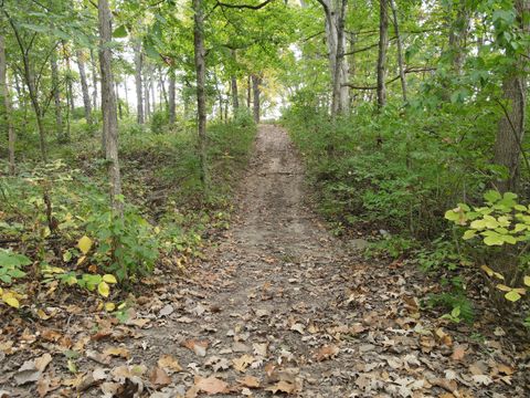 Tiny photo for 5180 W Cantrell Street, Decatur, IL 62522 (MLS # 12497624)