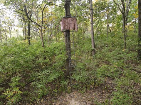 Tiny photo for 5180 W Cantrell Street, Decatur, IL 62522 (MLS # 12497624)