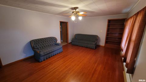 Tiny photo for 2234 Red Stripe Road, Odin, IL 62870 (MLS # EB460505)