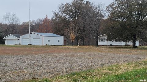 Tiny photo for 2234 Red Stripe Road, Odin, IL 62870 (MLS # EB460505)