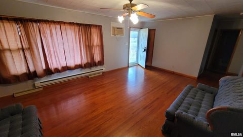 Tiny photo for 2234 Red Stripe Road, Odin, IL 62870 (MLS # EB460505)