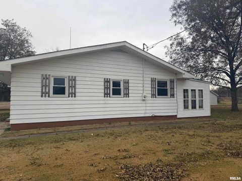 Tiny photo for 2234 Red Stripe Road, Odin, IL 62870 (MLS # EB460505)