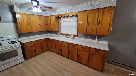 Tiny photo for 2234 Red Stripe Road, Odin, IL 62870 (MLS # EB460505)