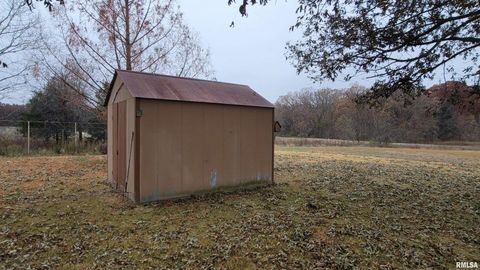 Tiny photo for 2234 Red Stripe Road, Odin, IL 62870 (MLS # EB460505)