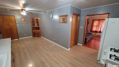 Tiny photo for 2234 Red Stripe Road, Odin, IL 62870 (MLS # EB460505)