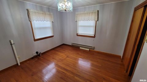 Tiny photo for 2234 Red Stripe Road, Odin, IL 62870 (MLS # EB460505)