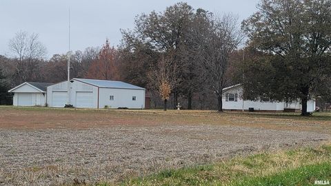 Tiny photo for 2234 Red Stripe Road, Odin, IL 62870 (MLS # EB460505)
