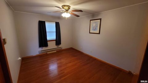 Tiny photo for 2234 Red Stripe Road, Odin, IL 62870 (MLS # EB460505)