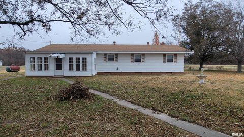 Tiny photo for 2234 Red Stripe Road, Odin, IL 62870 (MLS # EB460505)