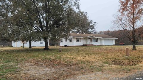 Tiny photo for 2234 Red Stripe Road, Odin, IL 62870 (MLS # EB460505)