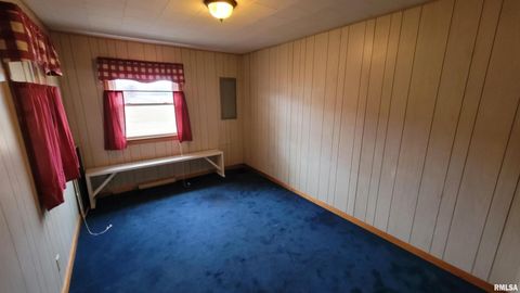 Tiny photo for 2234 Red Stripe Road, Odin, IL 62870 (MLS # EB460505)