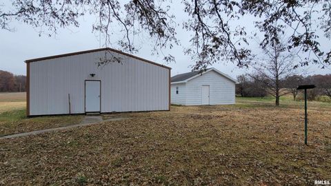 Tiny photo for 2234 Red Stripe Road, Odin, IL 62870 (MLS # EB460505)