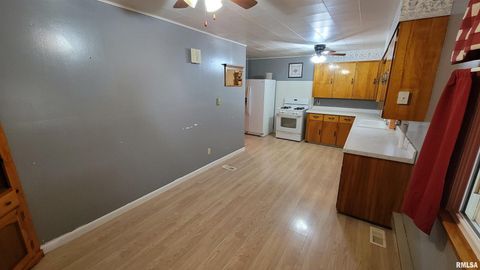 Tiny photo for 2234 Red Stripe Road, Odin, IL 62870 (MLS # EB460505)