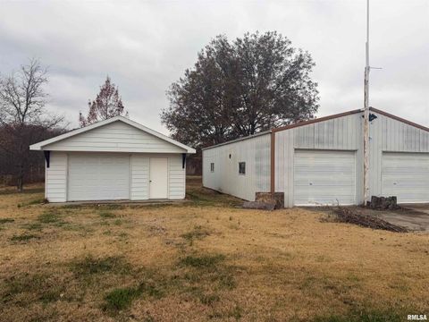 Tiny photo for 2234 Red Stripe Road, Odin, IL 62870 (MLS # EB460505)