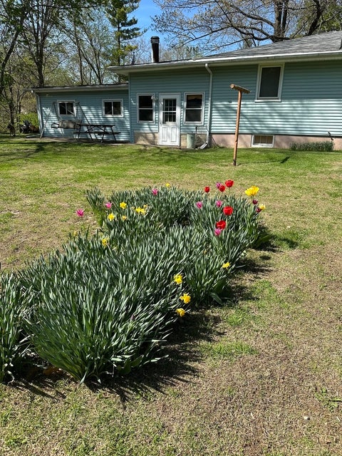 Tiny photo for 115 Northwestern Street, Spring Valley, IL 61362 (MLS # 12695410)