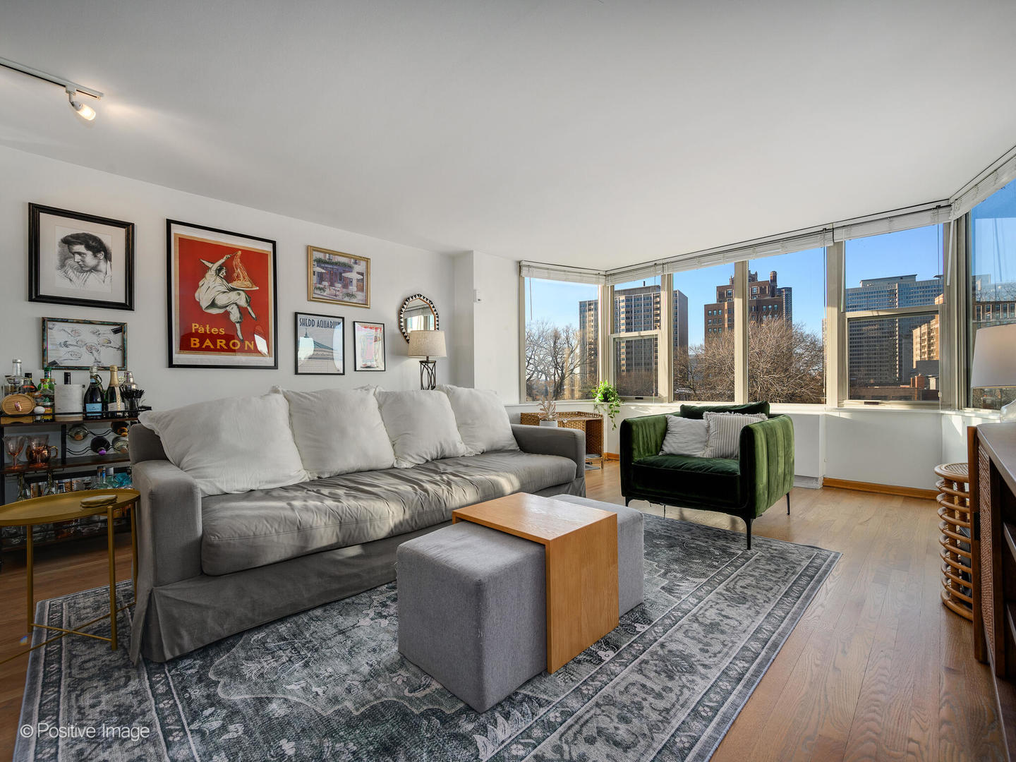 525 W Hawthorne Place 602