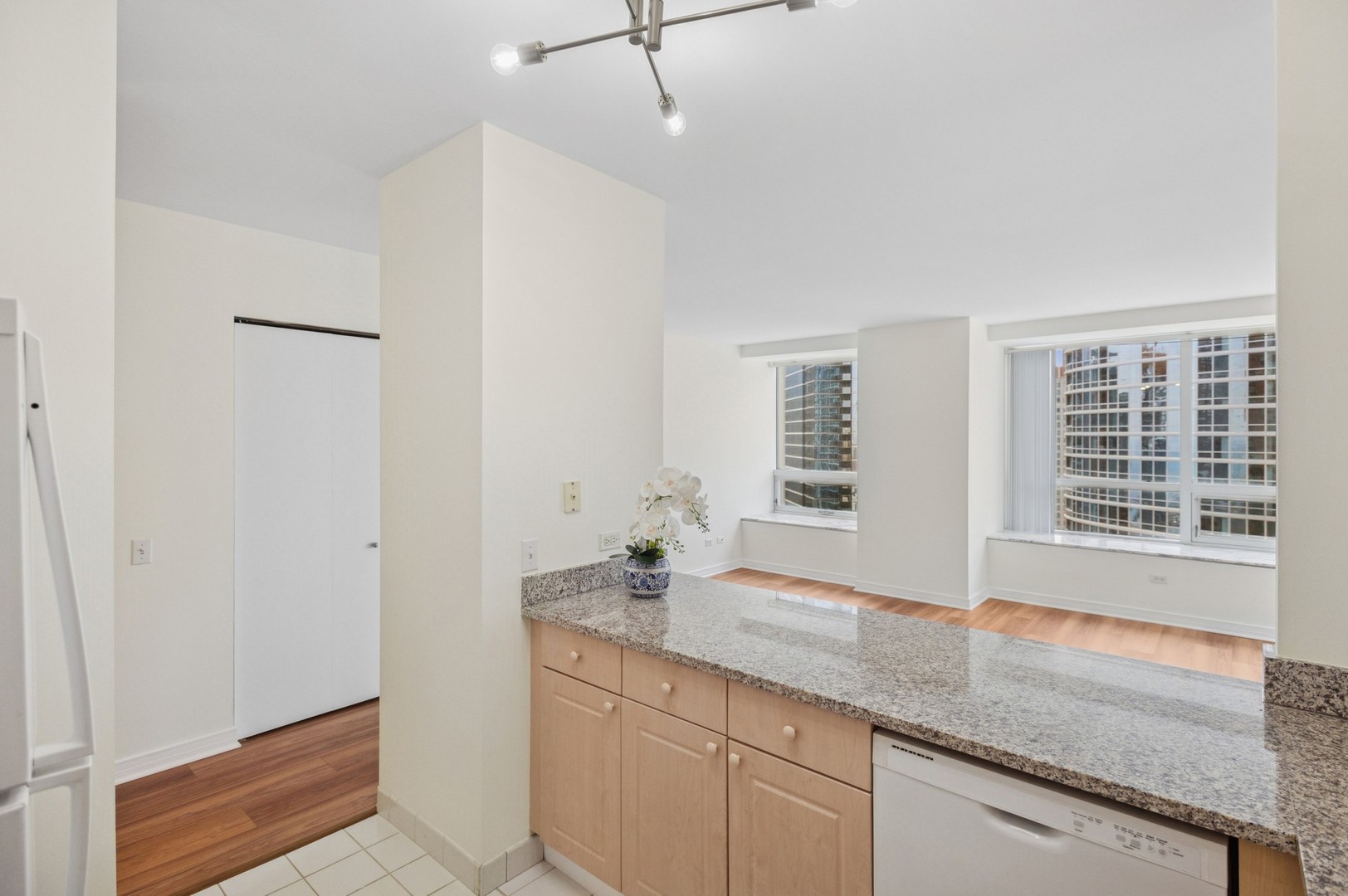 Chicago, Illinois 60611, United States, ,1 BathroomBathrooms,Residential,Active,171154