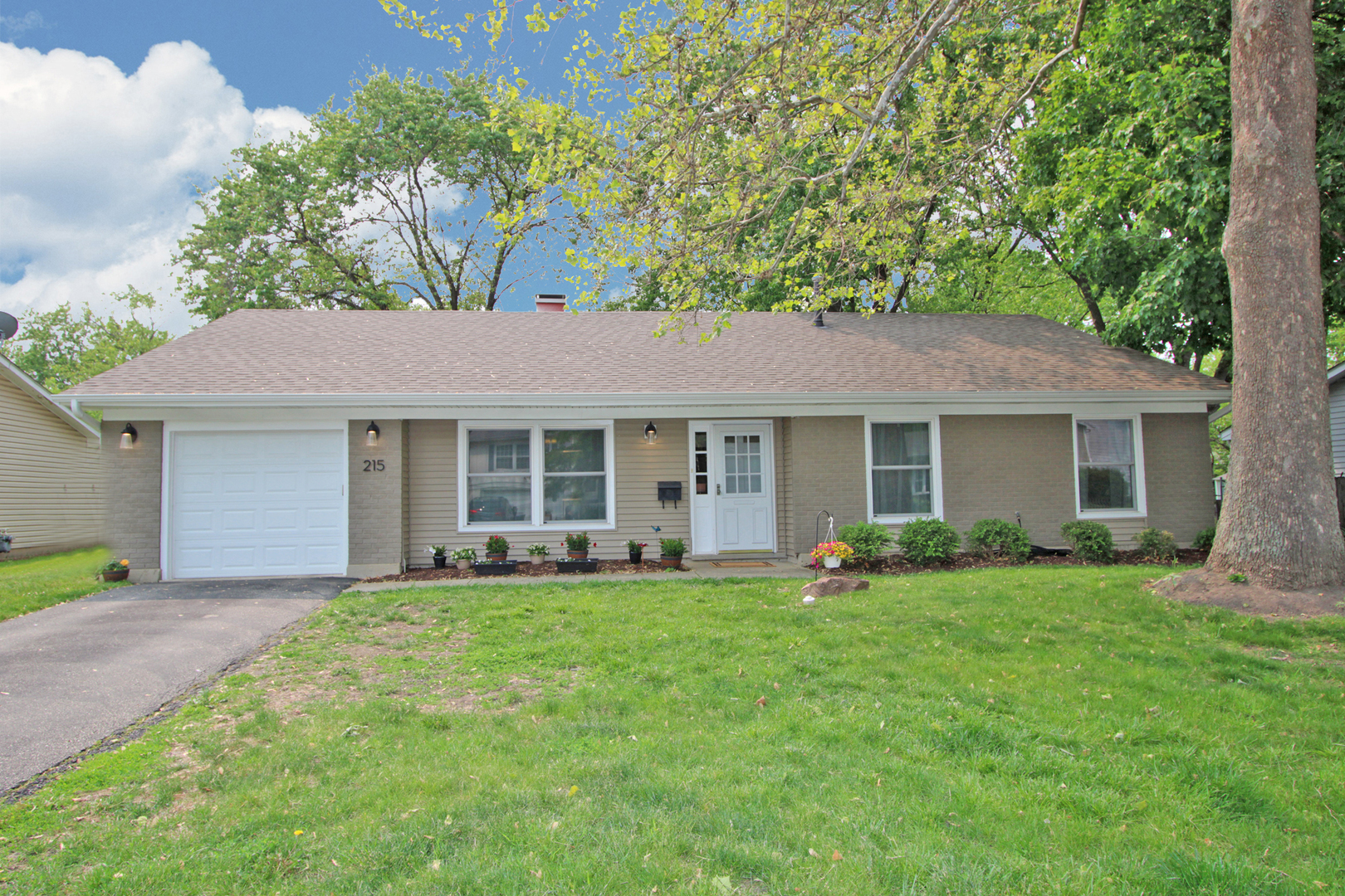 215 Hobble Bush Drive