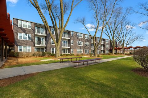 8712 Skokie Boulevard 3L Skokie IL 60076