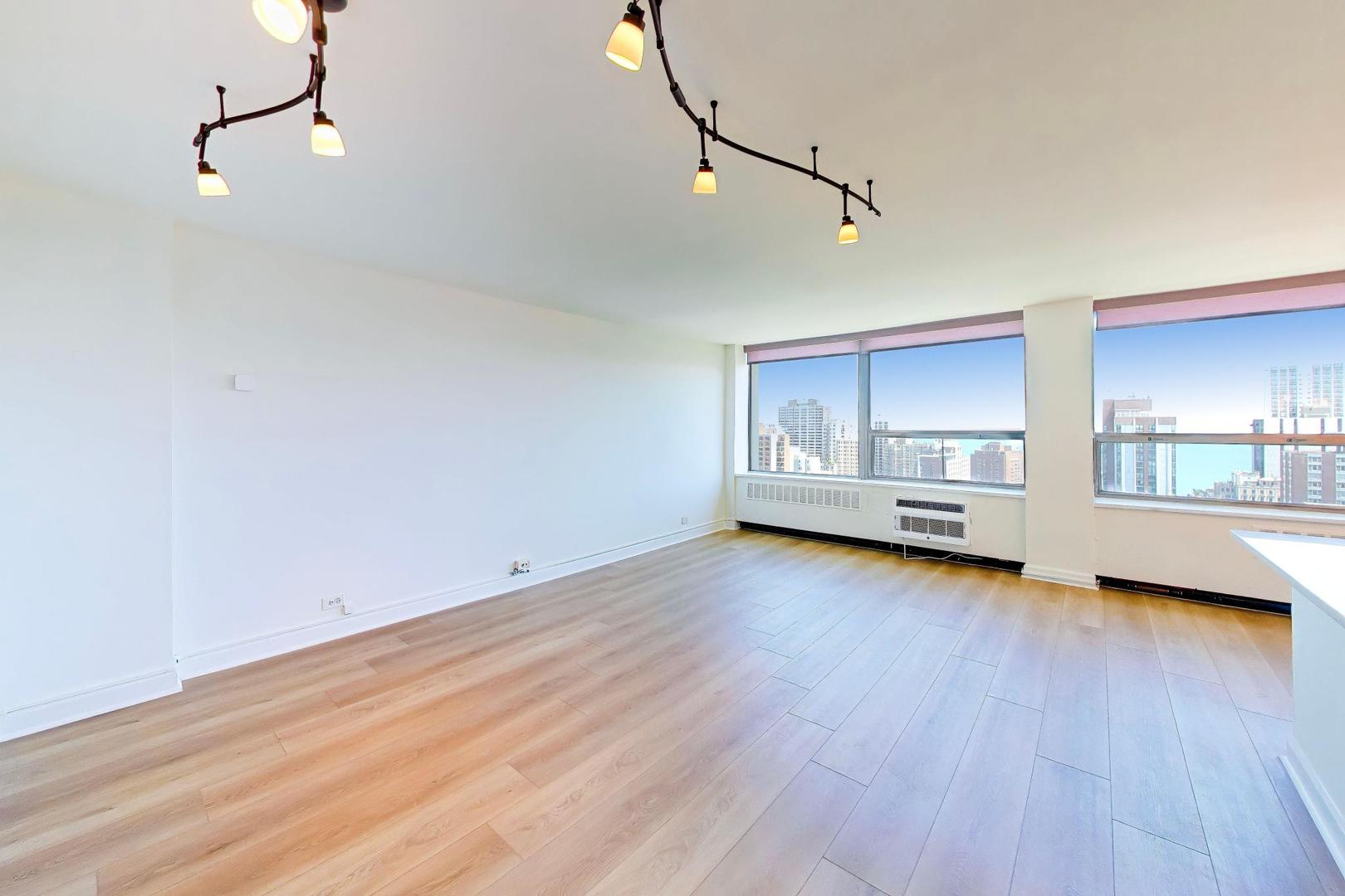 1355 N Sandburg Terrace 2904