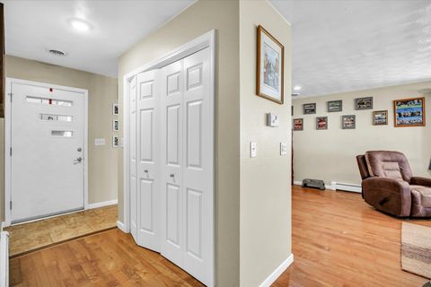 Tiny photo for 407 S Washington Street, Sidney, IL 61877 (MLS # 12505271)