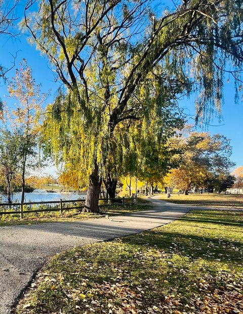 Tiny photo for 5721 W 103rd Street #204, Oak Lawn, IL 60453 (MLS # 12512106)