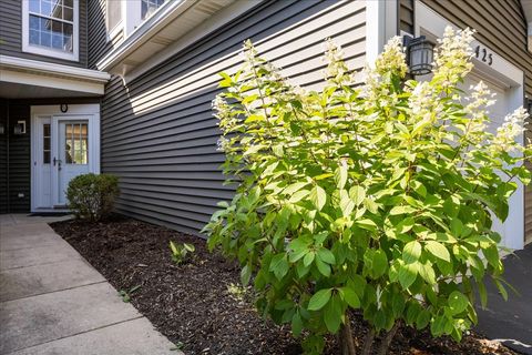 Tiny photo for 425 Mill Street, Batavia, IL 60510 (MLS # 12464405)