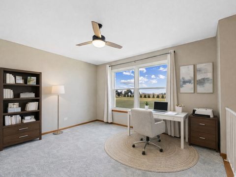 Tiny photo for 274 White Hawk Way, Manteno, IL 60950 (MLS # 12523242)