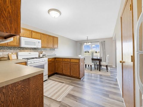 Tiny photo for 274 White Hawk Way, Manteno, IL 60950 (MLS # 12523242)