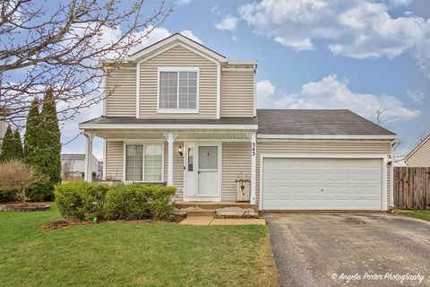 343 E Stanton Court Round Lake Beach IL 60073