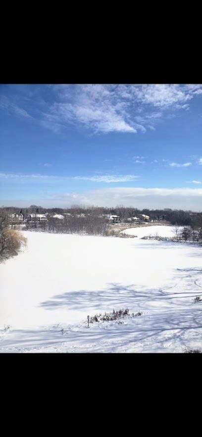 Tiny photo for 505 Redondo Drive #504, Downers Grove, IL 60516 (MLS # 12737320)