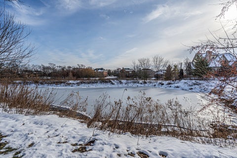 Tiny photo for 7242 Greywall Court, Long Grove, IL 60060 (MLS # 12758252)
