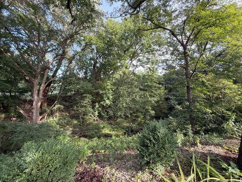 Tiny photo for 709 36th Avenue, East Moline, IL 61244 (MLS # 12744368)