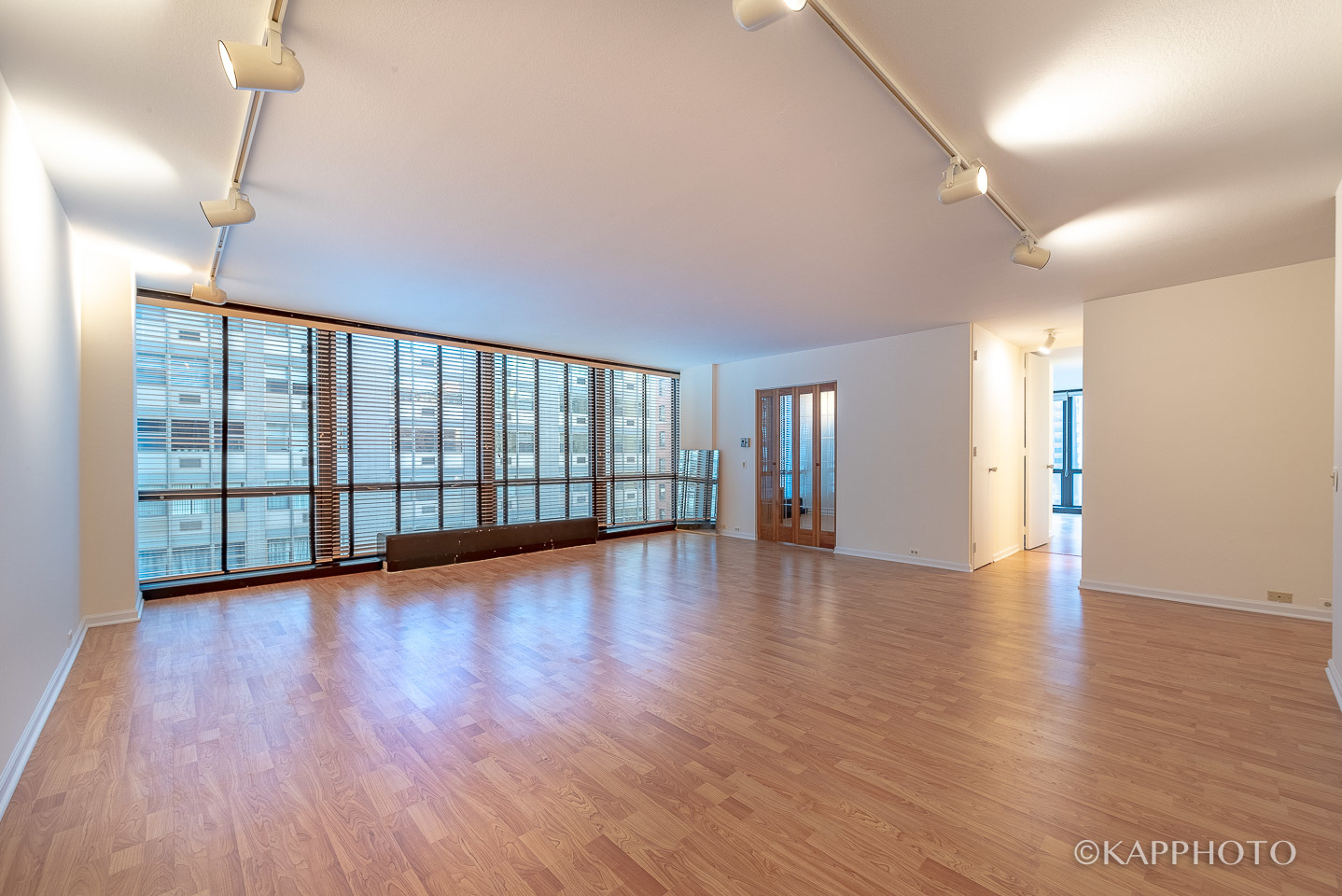 900 N Lake Shore Drive 702