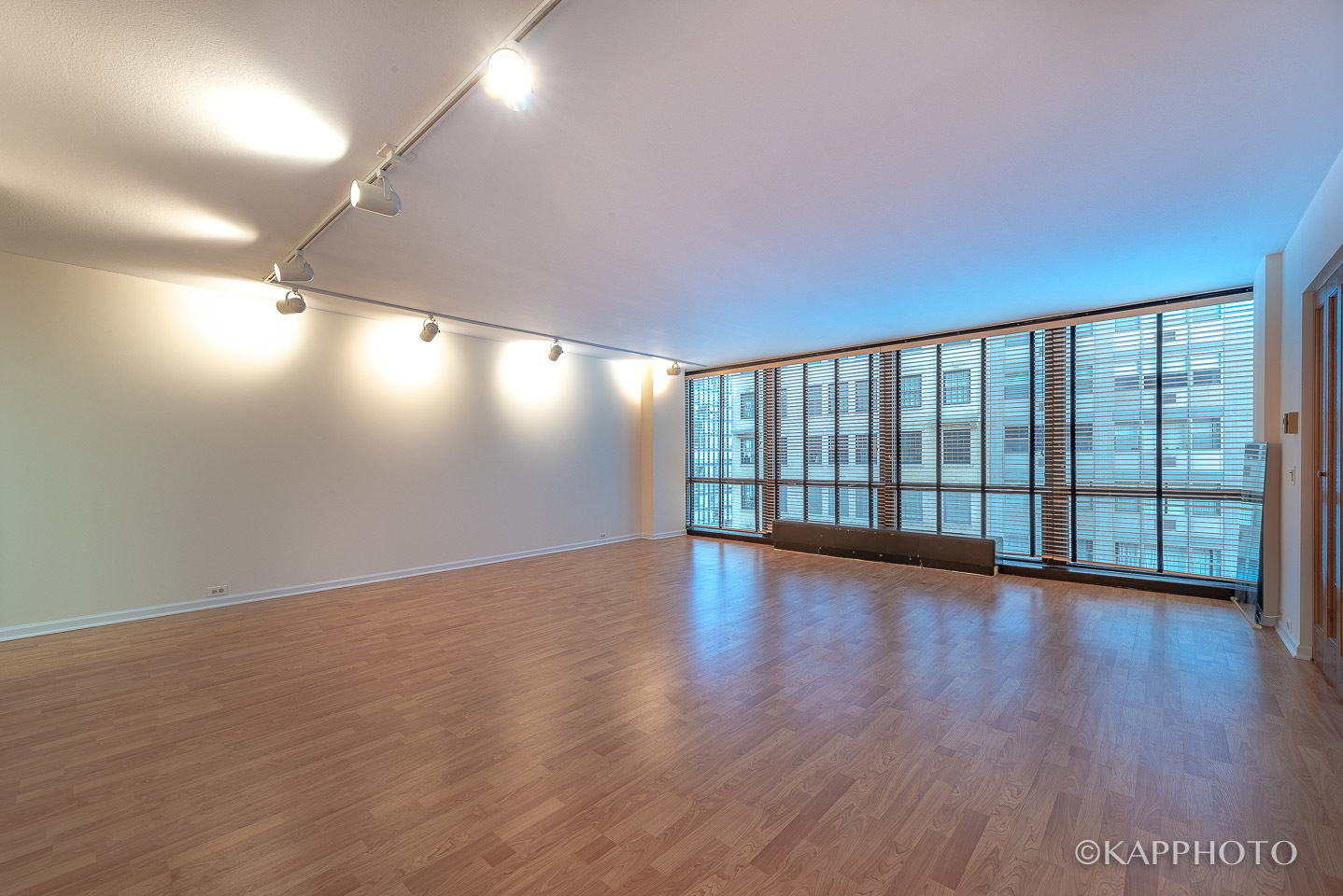 900 N Lake Shore Drive 702