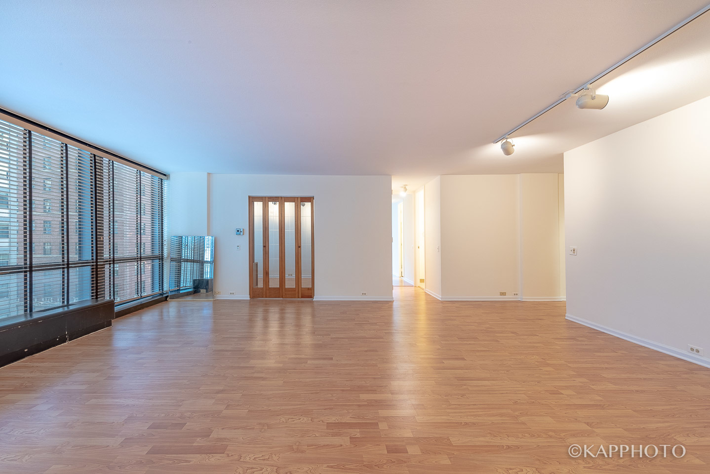 900 N Lake Shore Drive 702