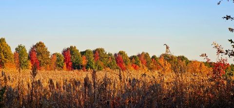 Tiny photo for 1340 E 2700 North Road, Ashkum, IL 60911 (MLS # 12534202)