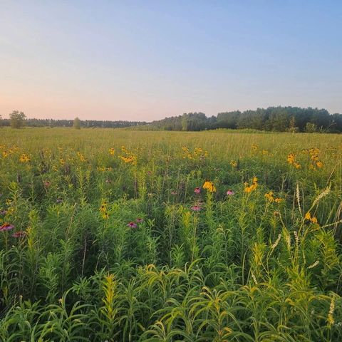 Tiny photo for 1340 E 2700 North Road, Ashkum, IL 60911 (MLS # 12534202)