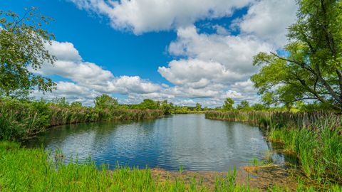 Tiny photo for 1340 E 2700 North Road, Ashkum, IL 60911 (MLS # 12534202)