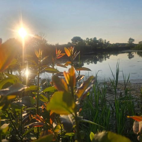 Tiny photo for 1340 E 2700 North Road, Ashkum, IL 60911 (MLS # 12534202)