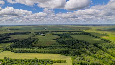 Tiny photo for 1340 E 2700 North Road, Ashkum, IL 60911 (MLS # 12534202)