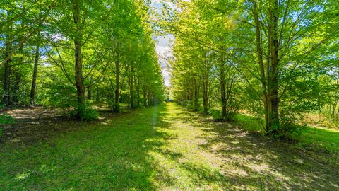 Tiny photo for 1340 E 2700 North Road, Ashkum, IL 60911 (MLS # 12534202)