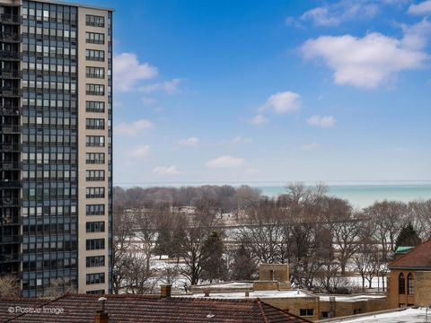 Tiny photo for 3930 N Pine Grove Avenue #1011, Chicago, IL 60613 (MLS # 12546840)