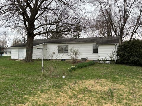 Tiny photo for 114 Evergreen Drive, Anna, IL 62906 (MLS # 12590226)