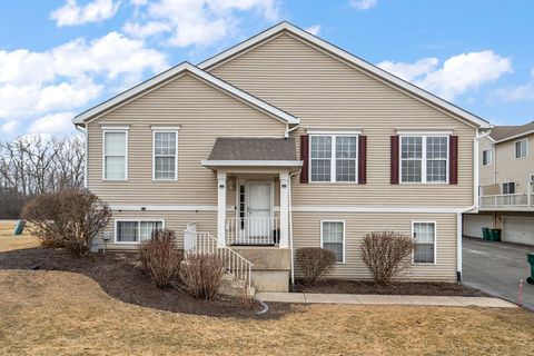 Photo of 2941 Woodside Drive #0, Joliet, IL 60431 (MLS # 12578016)