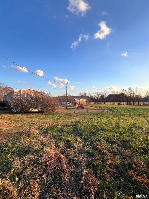 Tiny photo for 860 N Lick Creek Road, Buncombe, IL 62912 (MLS # QC4269569)